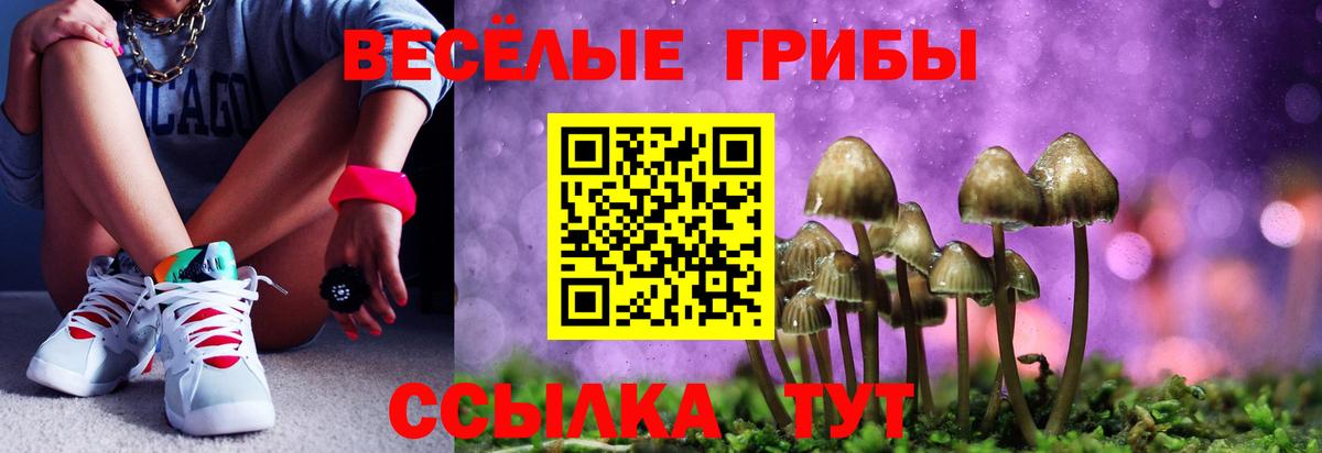 Галлюциногенные грибы мухоморы Луховицы
